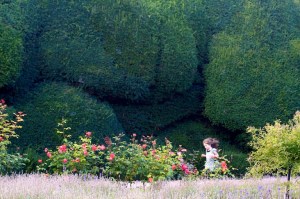 Magnificent Yew Hedge at Raby Castle, Co Durham