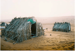 Frame tents covered in fronds and branches of Barasti Frame tents covered in fronds and branches of Barasti