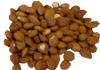 Apricot kernels Apricot kernels