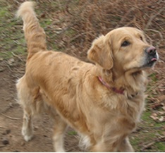 Winnie listening to Claire