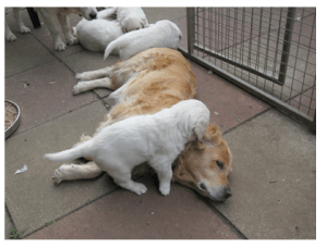 Winnie, a wonderful mother