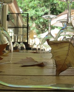 Eating al fresco, Languedoc Roussilion in October