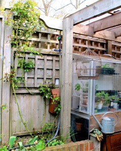 Hose over pergola and down wooden post to seeper hose at ground level - note control tap Hose over pergola and down wooden post to seeper hose at ground level - note control tap