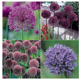 Screen Shot 2013-08-17 at 20.19.52