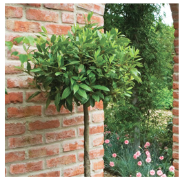 Screen Shot 2014-12-12 at 14.58.06