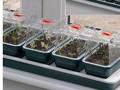 Screen Shot 2014-12-12 at 14.58.55