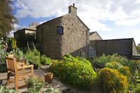 Companion plants in the vegetable garden, notice the seat!